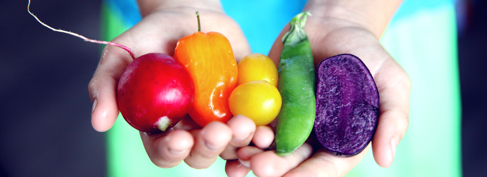 Outpatient Nutrition Services for Oncology Patients
